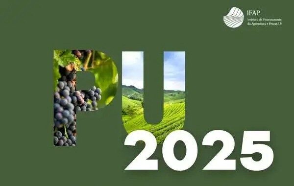 Pedido Único 2025